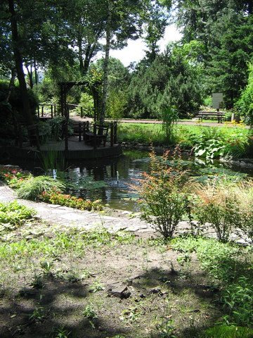Ogród Botaniczny - Zabrze 2