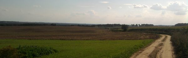Panorama Brodnicy
