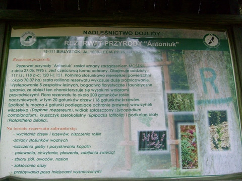 Rezerwat Antoniuk