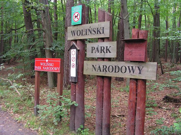 Woliński Parki 6